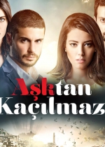 Aştan Kaçılmaz poster