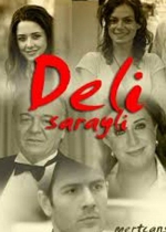 Deli Saraylı  poster