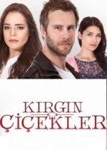 Kırgın Çiçekler poster